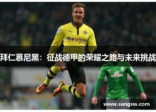 拜仁慕尼黑：征战德甲的荣耀之路与未来挑战